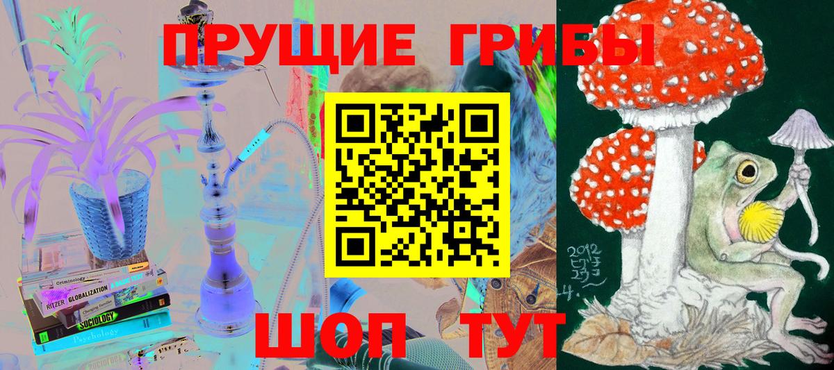 Галлюциногенные грибы Psilocybe Гагарин