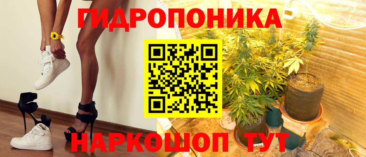 Канабис гибрид Гагарин